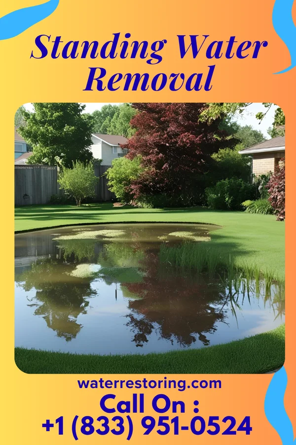 Standing Water Removal in Rozel, KS